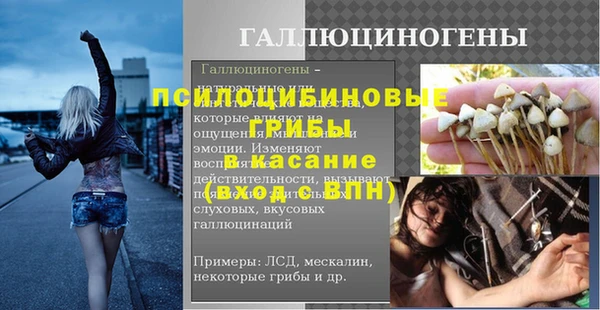 соль ск Арсеньев