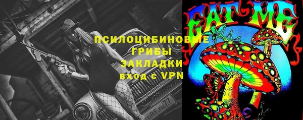 прущая мука Армянск