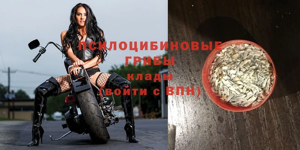соль ск Арсеньев