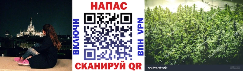 Канабис тримм Шумерля